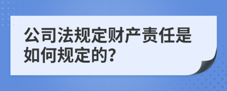 公司法规定财产责任是如何规定的？