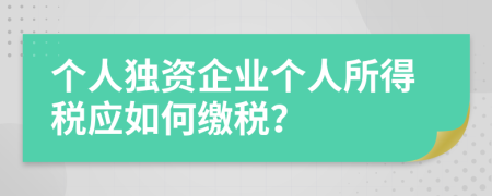 个人独资企业个人所得税应如何缴税？