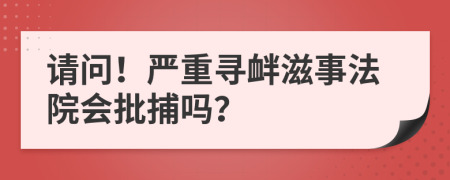 请问！严重寻衅滋事法院会批捕吗？