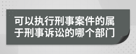 可以执行刑事案件的属于刑事诉讼的哪个部门