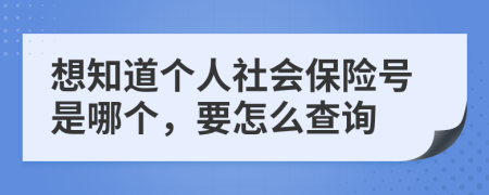 想知道个人社会保险号是哪个，要怎么查询