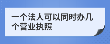 一个法人可以同时办几个营业执照