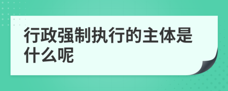 行政强制执行的主体是什么呢