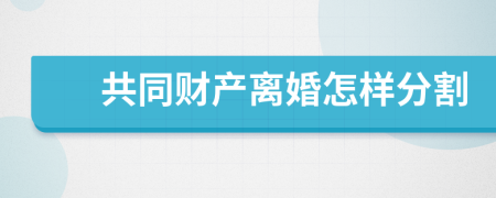 共同财产离婚怎样分割