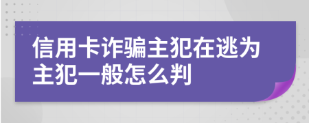 信用卡诈骗主犯在逃为主犯一般怎么判