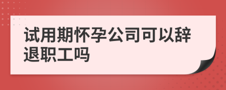 试用期怀孕公司可以辞退职工吗