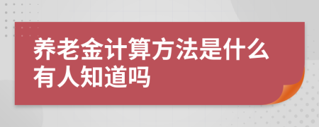 养老金计算方法是什么有人知道吗