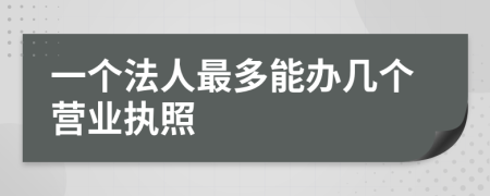 一个法人最多能办几个营业执照