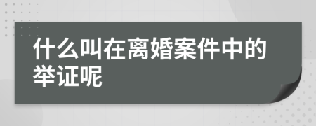 什么叫在离婚案件中的举证呢