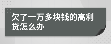 欠了一万多块钱的高利贷怎么办