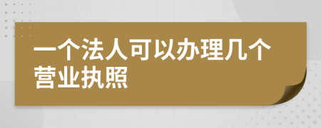 一个法人可以办理几个营业执照