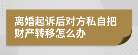 离婚起诉后对方私自把财产转移怎么办