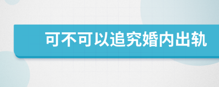 可不可以追究婚内出轨