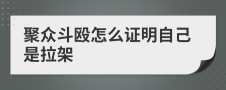 聚众斗殴怎么证明自己是拉架