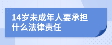 14岁未成年人要承担什么法律责任