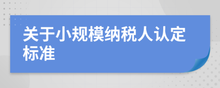 关于小规模纳税人认定标准