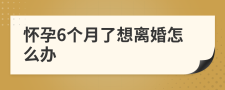 怀孕6个月了想离婚怎么办
