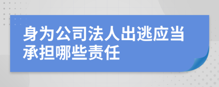 身为公司法人出逃应当承担哪些责任