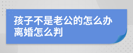 孩子不是老公的怎么办离婚怎么判