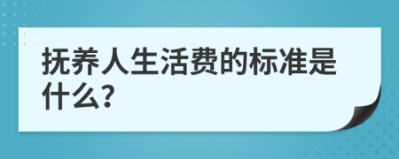 抚养人生活费的标准是什么？