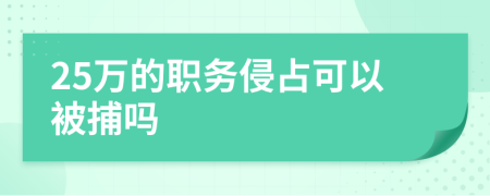 25万的职务侵占可以被捕吗