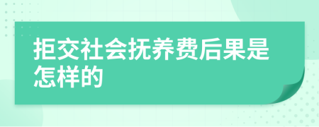 拒交社会抚养费后果是怎样的