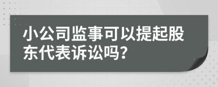 小公司监事可以提起股东代表诉讼吗？
