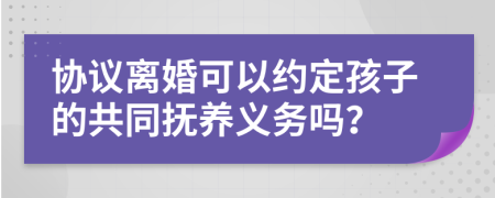 协议离婚可以约定孩子的共同抚养义务吗？