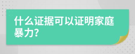 什么证据可以证明家庭暴力？