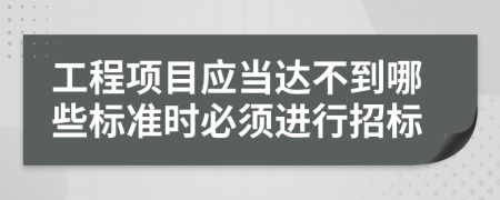 工程项目应当达不到哪些标准时必须进行招标