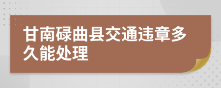 甘南碌曲县交通违章多久能处理