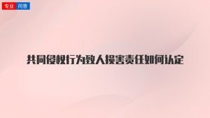 共同侵权行为致人损害责任如何认定