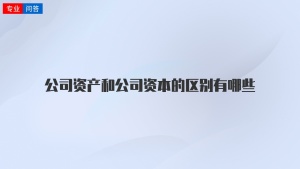 公司资产和公司资本的区别有哪些