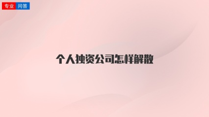 个人独资公司怎样解散