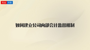 如何建立公司内部会计监督机制