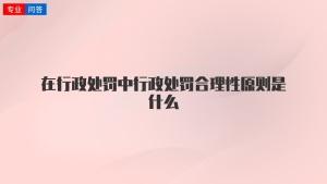 在行政处罚中行政处罚合理性原则是什么