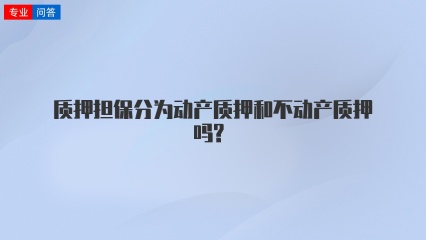 质押担保分为动产质押和不动产质押吗?