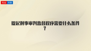 提起刑事审判监督程序需要什么条件？