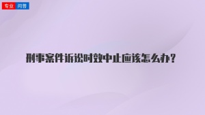 刑事案件诉讼时效中止应该怎么办？