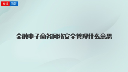 金融电子商务网络安全管理什么意思