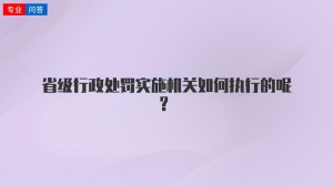 省级行政处罚实施机关如何执行的呢？