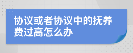 协议或者协议中的抚养费过高怎么办