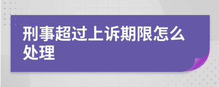 刑事超过上诉期限怎么处理