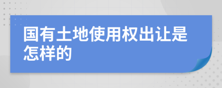 国有土地使用权出让是怎样的