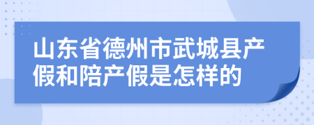 山东省德州市武城县产假和陪产假是怎样的