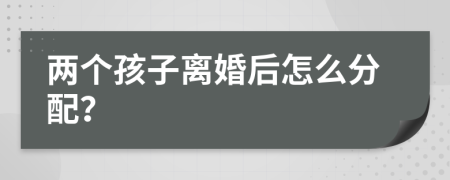两个孩子离婚后怎么分配？