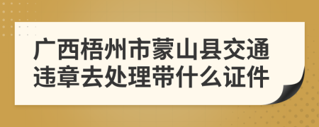 广西梧州市蒙山县交通违章去处理带什么证件