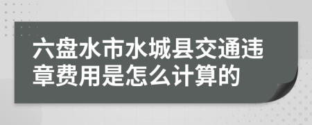 六盘水市水城县交通违章费用是怎么计算的