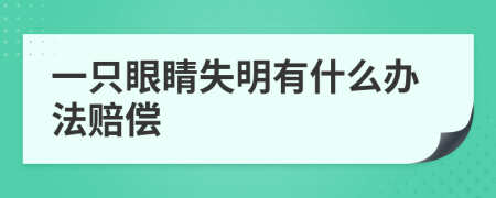 一只眼睛失明有什么办法赔偿