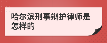 哈尔滨刑事辩护律师是怎样的